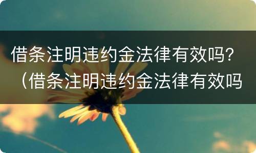 借条注明违约金法律有效吗？（借条注明违约金法律有效吗）