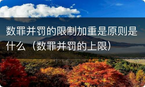 数罪并罚的限制加重是原则是什么（数罪并罚的上限）