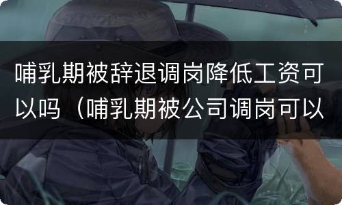 哺乳期被辞退调岗降低工资可以吗（哺乳期被公司调岗可以要求赔偿吗）