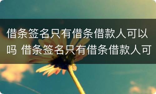借条签名只有借条借款人可以吗 借条签名只有借条借款人可以吗