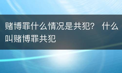 赌博罪什么情况是共犯？ 什么叫赌博罪共犯