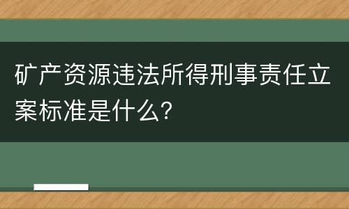 矿产资源违法所得刑事责任立案标准是什么？