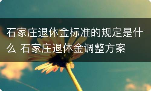 石家庄退休金标准的规定是什么 石家庄退休金调整方案