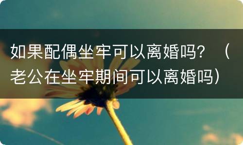 如果配偶坐牢可以离婚吗？（老公在坐牢期间可以离婚吗）