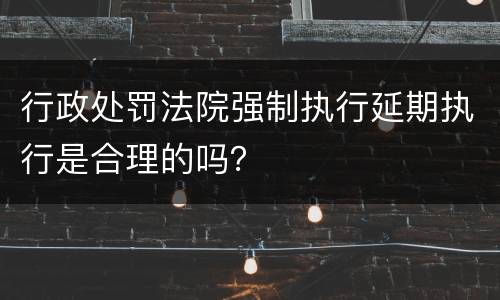行政处罚法院强制执行延期执行是合理的吗？