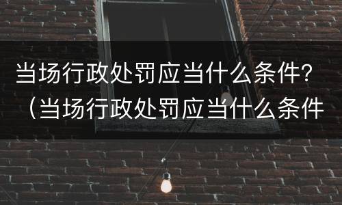当场行政处罚应当什么条件？（当场行政处罚应当什么条件处理）