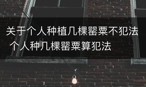 关于个人种植几棵罂粟不犯法 个人种几棵罂粟算犯法