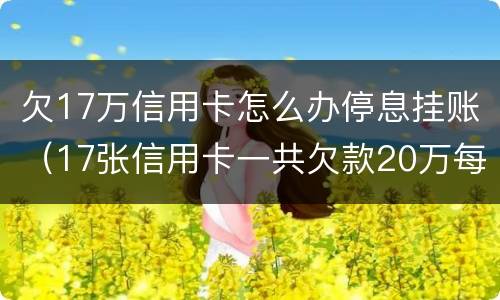 欠17万信用卡怎么办停息挂账（17张信用卡一共欠款20万每月）