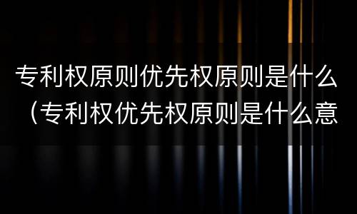 专利权原则优先权原则是什么（专利权优先权原则是什么意思）