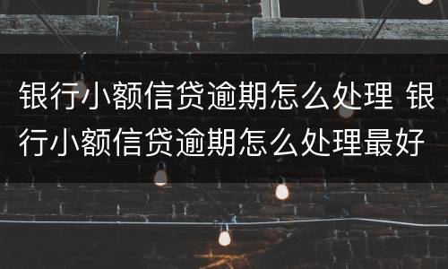 银行小额信贷逾期怎么处理 银行小额信贷逾期怎么处理最好