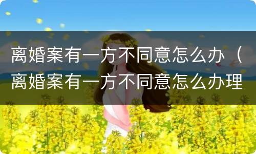 离婚案有一方不同意怎么办（离婚案有一方不同意怎么办理）