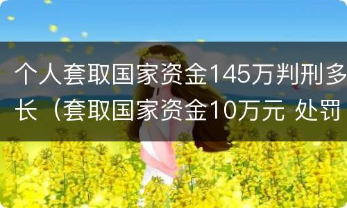 个人套取国家资金145万判刑多长（套取国家资金10万元 处罚）