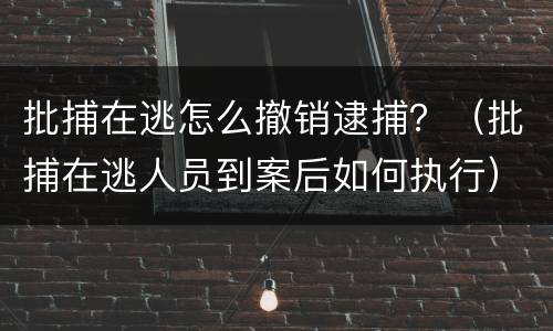 批捕在逃怎么撤销逮捕？（批捕在逃人员到案后如何执行）