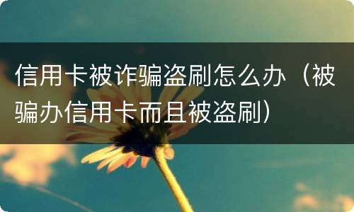 信用卡被诈骗盗刷怎么办（被骗办信用卡而且被盗刷）