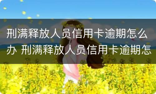 刑满释放人员信用卡逾期怎么办 刑满释放人员信用卡逾期怎么办理