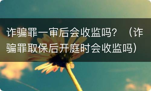 诈骗罪一审后会收监吗？（诈骗罪取保后开庭时会收监吗）