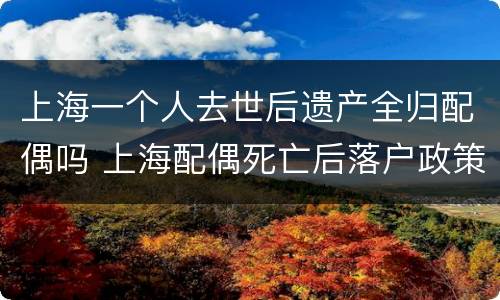 上海一个人去世后遗产全归配偶吗 上海配偶死亡后落户政策