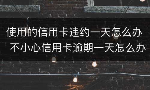 使用的信用卡违约一天怎么办 不小心信用卡逾期一天怎么办