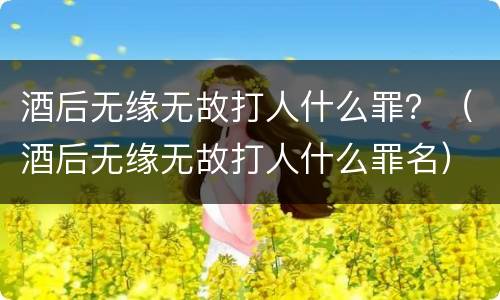 酒后无缘无故打人什么罪？（酒后无缘无故打人什么罪名）