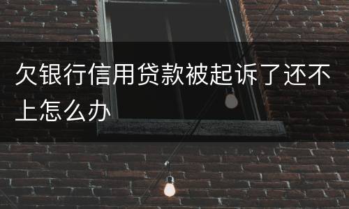 欠银行信用贷款被起诉了还不上怎么办