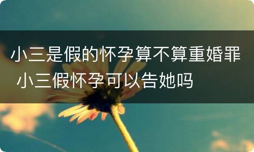 小三是假的怀孕算不算重婚罪 小三假怀孕可以告她吗