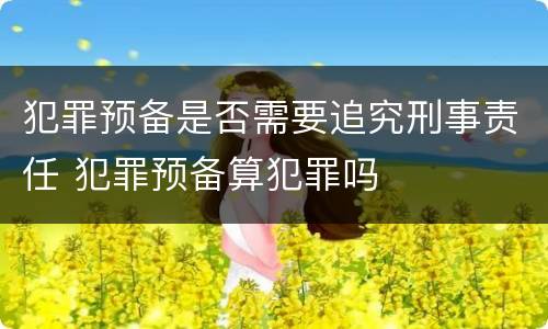 犯罪预备是否需要追究刑事责任 犯罪预备算犯罪吗