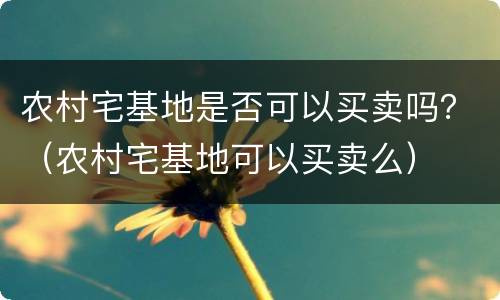 农村宅基地是否可以买卖吗？（农村宅基地可以买卖么）