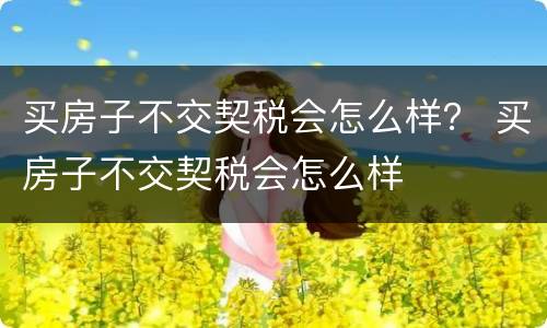 买房子不交契税会怎么样？ 买房子不交契税会怎么样