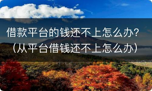 借款平台的钱还不上怎么办？（从平台借钱还不上怎么办）