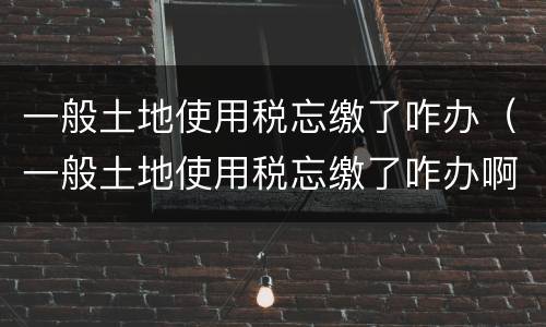 一般土地使用税忘缴了咋办（一般土地使用税忘缴了咋办啊）