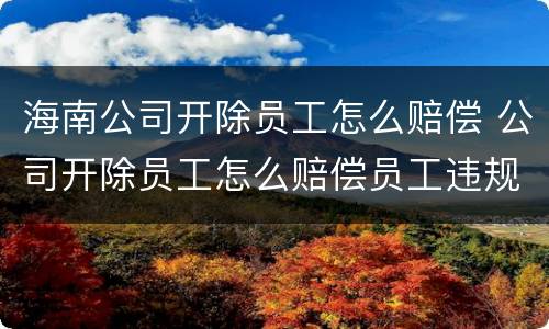 海南公司开除员工怎么赔偿 公司开除员工怎么赔偿员工违规