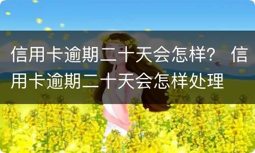 信用卡逾期二十天会怎样？ 信用卡逾期二十天会怎样处理