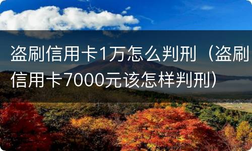 盗刷信用卡1万怎么判刑（盗刷信用卡7000元该怎样判刑）