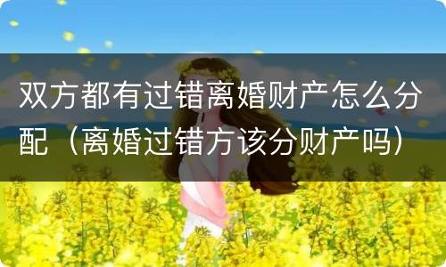 双方都有过错离婚财产怎么分配（离婚过错方该分财产吗）