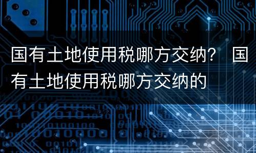 国有土地使用税哪方交纳？ 国有土地使用税哪方交纳的