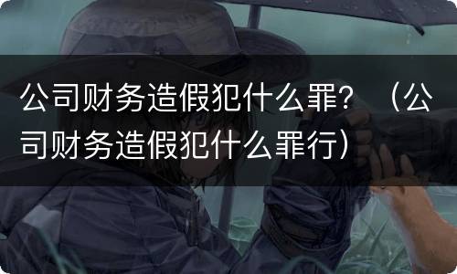 公司财务造假犯什么罪？（公司财务造假犯什么罪行）