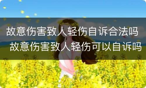 故意伤害致人轻伤自诉合法吗 故意伤害致人轻伤可以自诉吗