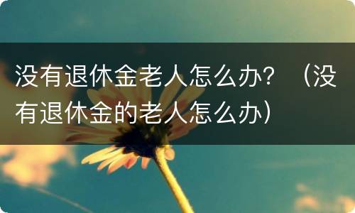 没有退休金老人怎么办？（没有退休金的老人怎么办）