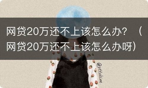 网贷20万还不上该怎么办？（网贷20万还不上该怎么办呀）