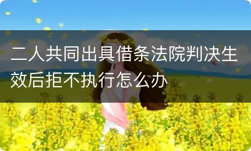 二人共同出具借条法院判决生效后拒不执行怎么办
