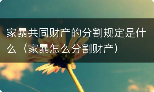 家暴共同财产的分割规定是什么（家暴怎么分割财产）