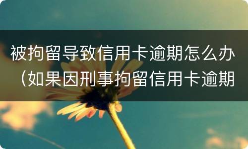 被拘留导致信用卡逾期怎么办（如果因刑事拘留信用卡逾期怎么办）