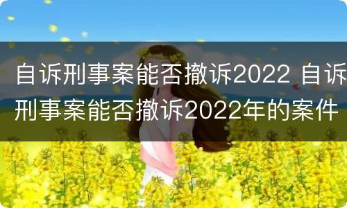 自诉刑事案能否撤诉2022 自诉刑事案能否撤诉2022年的案件