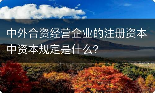中外合资经营企业的注册资本中资本规定是什么？
