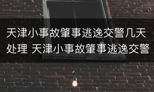 天津小事故肇事逃逸交警几天处理 天津小事故肇事逃逸交警几天处理完毕