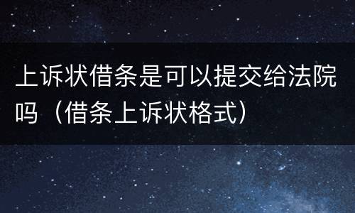 上诉状借条是可以提交给法院吗（借条上诉状格式）