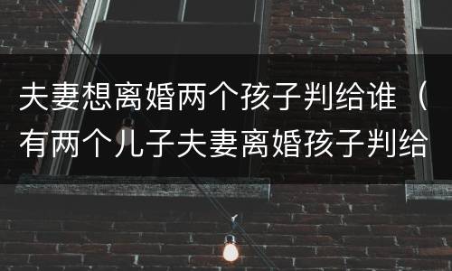 夫妻想离婚两个孩子判给谁（有两个儿子夫妻离婚孩子判给哪一方）
