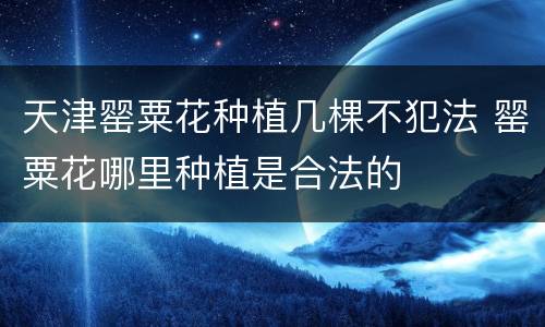 天津罂粟花种植几棵不犯法 罂粟花哪里种植是合法的