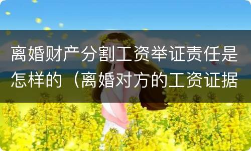 离婚财产分割工资举证责任是怎样的（离婚对方的工资证据）