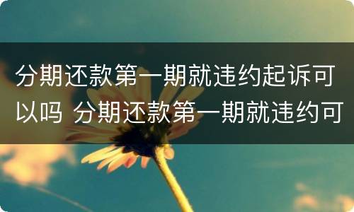 分期还款第一期就违约起诉可以吗 分期还款第一期就违约可以要求偿还全部吗